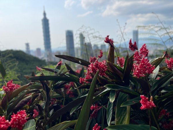 1140513象山峰-永春崗平台O繞2785602