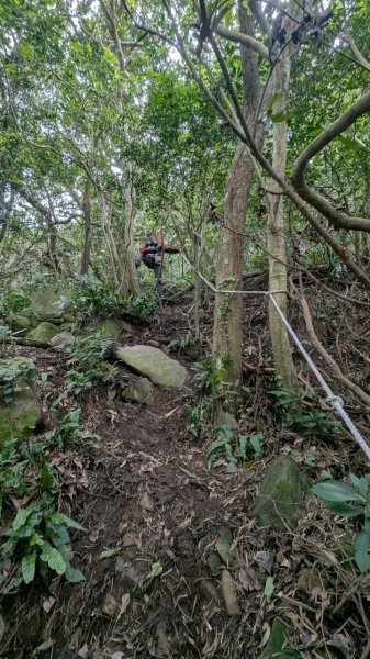 113.12.28小鷹尖-關山嶺-五八山-凌雲尖-龍女岩之旅2679367