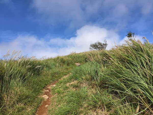 [百山百鳥尋旅-11/15] 2025_0927 大屯主峰-連峰步道_大屯山南峰2899378