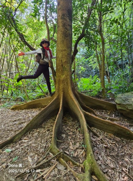 20251216太平山石門山小粗坑山O型+蕃薯藤TINA廚房2972670