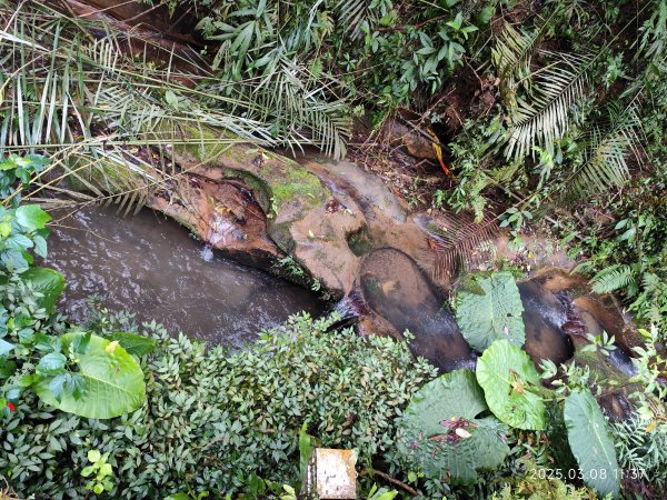 【臺北大縱走6】中華科大步道→九五峰→南港山→糶米古道→軍功山→中埔山→福州山公園→富陽自然生態公園2730074