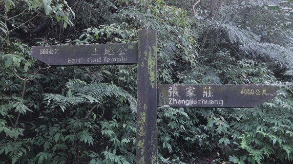 灣潭古道 & 北勢溪古道連走(淡蘭古道中路)2030148