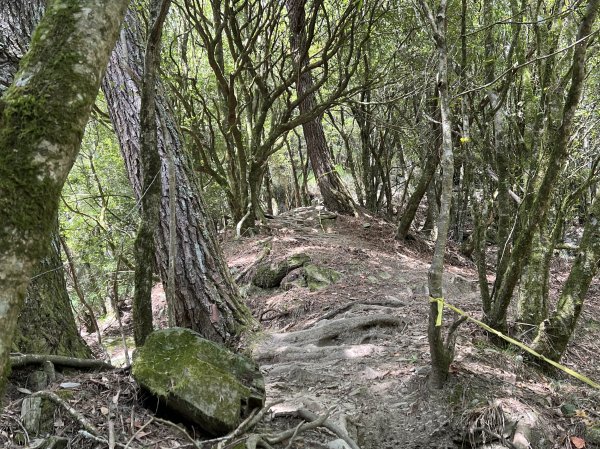 屏風山屋住一晚2916015