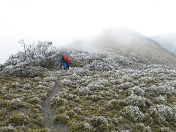 【新聞】春寒料峭，山區氣候難測，登山做足準備！急流勇退平安下山才是勇者！