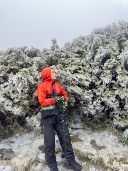 20250319～20嘉明湖國家步道🥶🥶🥶殘念😭2739773