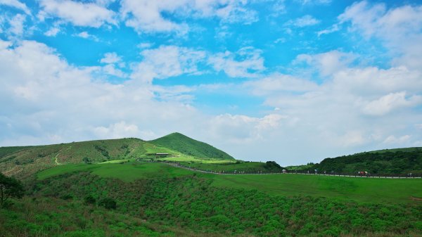 順流而下輕鬆行(內雙溪古道+坪頂舊圳)1001910