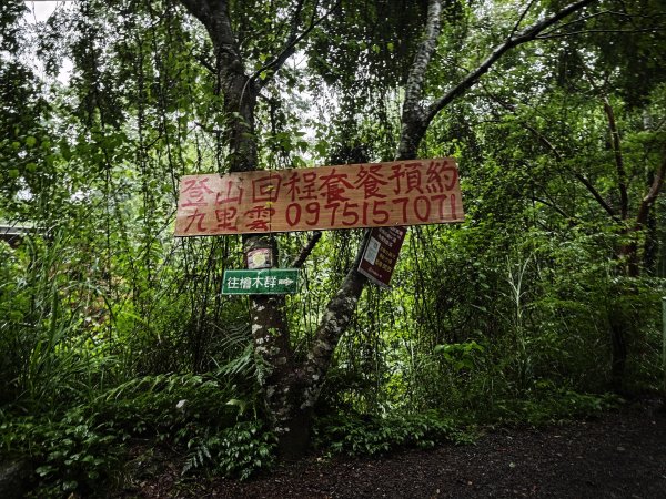 2025_0525 鎮西堡巨木群步道（B區）2797691