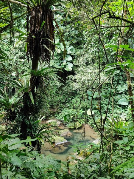 馬胎南坪古道2764746