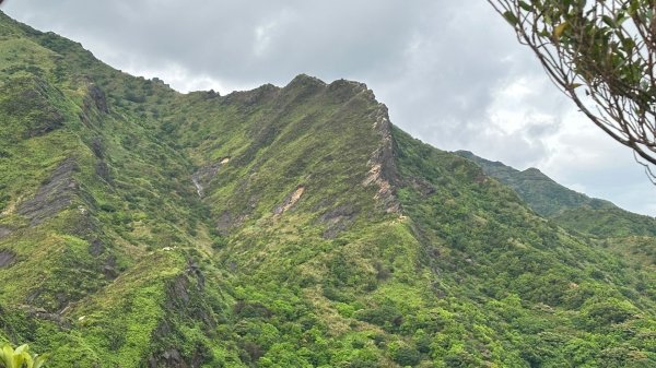 劍龍稜202510172920302