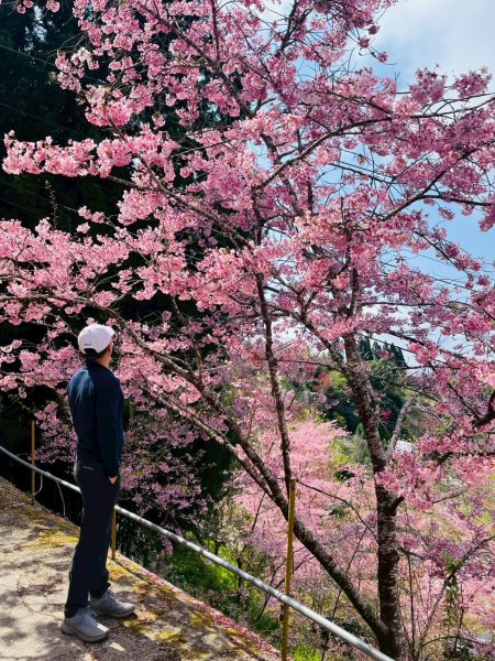 桃園 復興 巴陵 恩愛農場3011870