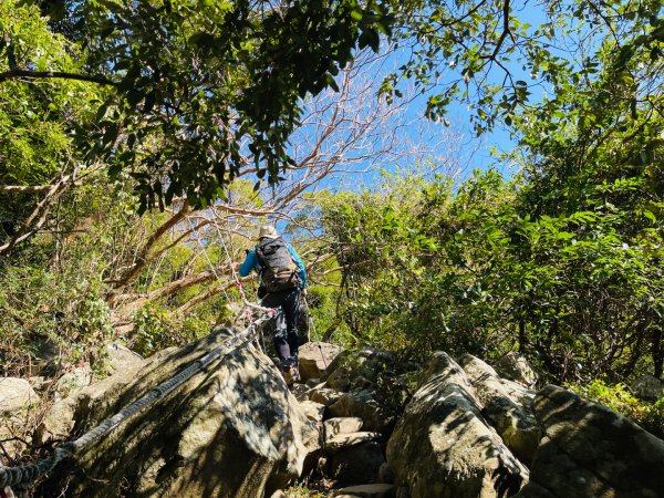 1150123里龍山2986664