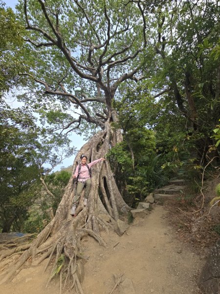 No.80小百岳-里龍山2759695