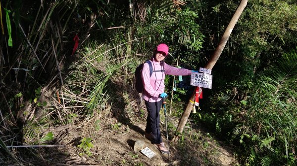 (姨婆趴趴走)第四十六集:新竹關西赤柯山及南峰、東西獅頭山、馬福山環狀縱走2685817
