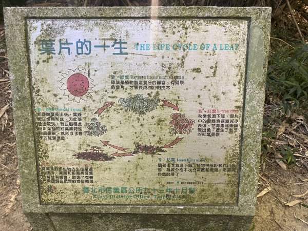 【四獸山 Short】虎豹象先行！獅山封閉中，等新步道開箱再相見2888807