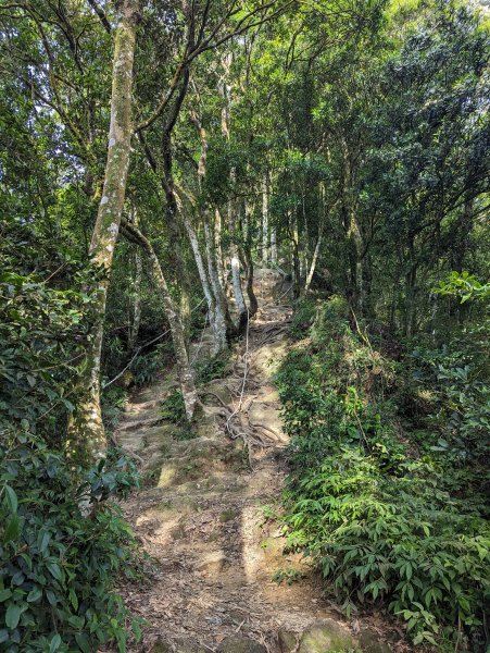 苗栗小百岳-⛰仙山登山步道2192857