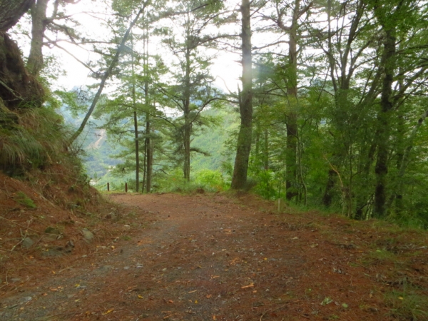 大小霸尖山群峰_世紀奇峰之旅66593