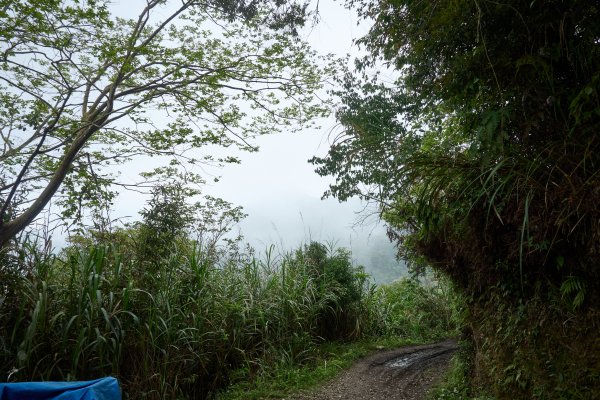 兩日立霧山觀景台(日出行程)2114811