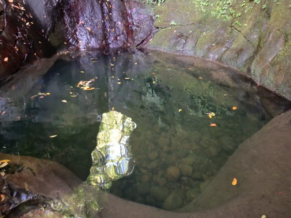 平溪區石古井古道(新路徑)+青林山+盤山坑古道O型2893277