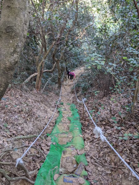 【高雄-小百岳】觀音山_稜線連峰O型縱走796543