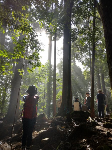 台版富士山「加里山」(小百岳#34) 2020/12/191424794