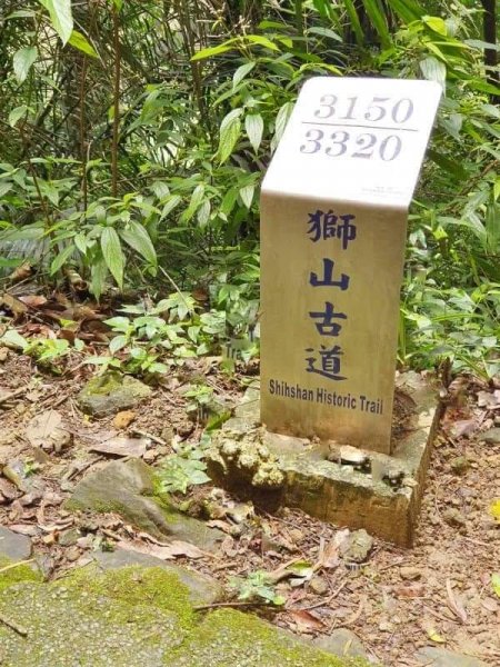 小百岳NO.29 苗栗獅頭山。獅山古道 茶園坪步道。峨眉湖環湖步道〔苗栗〕貓狸山公園 功維敘隧道2253674