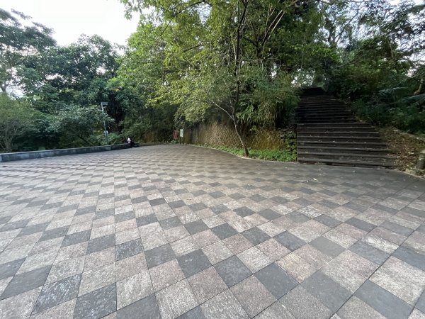 [微笑山線_第六段] 2025_0807 二格山系_和美山螢火蟲段2854625