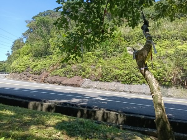 汐止區火燒坪山+車坪寮崙+五指山前峰O型2857922