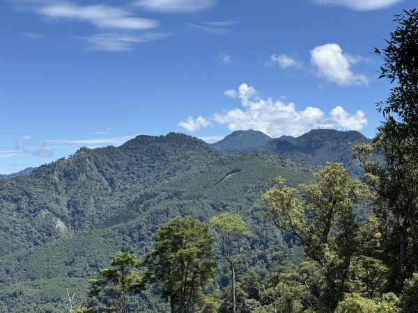 鳶嘴山+稍來神木 202508302873893