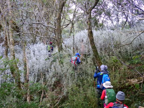 八五古道李崠山大混山連走103114