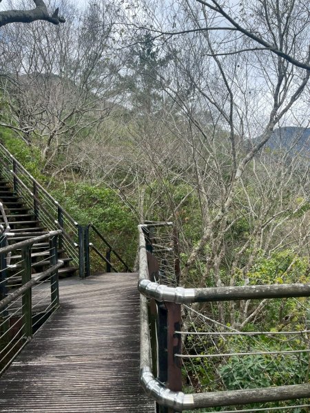 桃園 復興 巴陵古道3011850