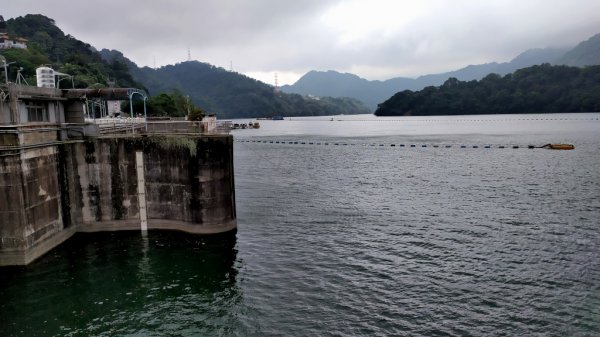 石門水庫楓林步道771924