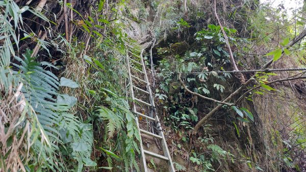 大克山北登山口森林遊樂區起登封面