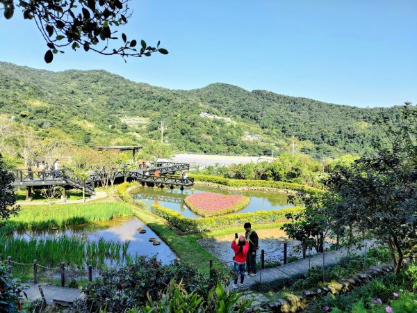 龍年首登的好選擇，鯉躍龍門，搭捷運來內湖爬三尖，鯉魚山、忠勇山、圓覺尖2426620