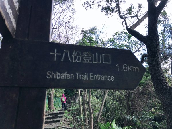 ~ 中 正 山 步 道 ~2782710