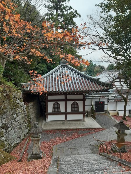 【海外健行】知恩院-大谷祖廟-円山公園-坂神社散策1939285