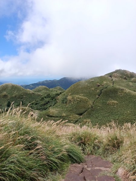 走遍陽明山2301751