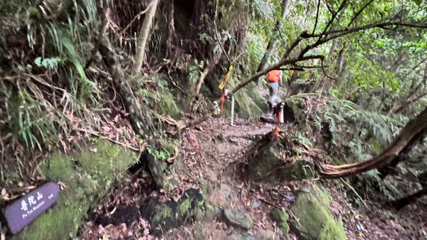 平溪中央尖、慈母峰、普陀山、孝子山連走2188181