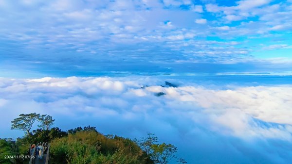 阿里山 #隙頂二延平 #頂石棹 #觀音圈 #雲海 #琉璃光 #雲瀑 #霧虹 11/172649785
