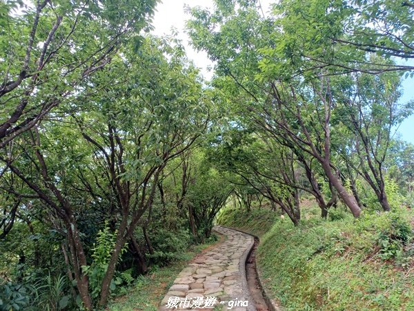 【新北瑞芳】黃金山城好展望。 小百岳基隆山x九份老街2847155