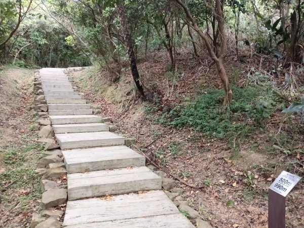 瑞芳區南子吝山+南子吝山稜(黃金七稜)+保羅尖8字走2873673