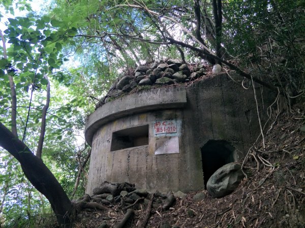 台東鯉魚山1566889