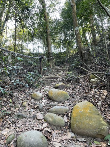 頭嵙山相思枕木遙上天1652031