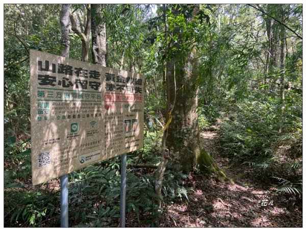 南東眼山 新基石 (南投、仁愛)2844770