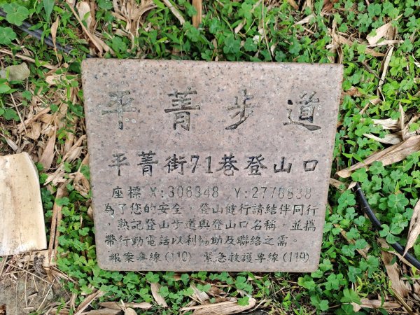 20240201故宮-狗殷勤古道-平菁街賞櫻-溪山百年水圳步道-平菁步道2458469