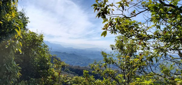 大坑四號_頭嵙山外加黑山與石苓湖山（頭嵙南峰）2039008