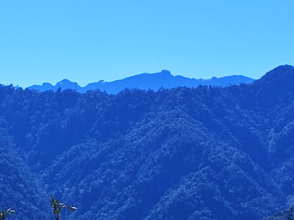 油羅山-新竹縣五峰鄉2426629