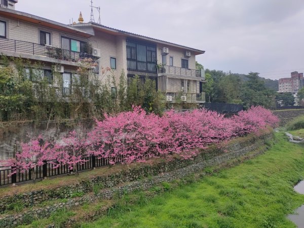 ［雙湖縱走］（東湖~金龍湖）（內湖~汐止）（2024/2/10）（初一）2426786