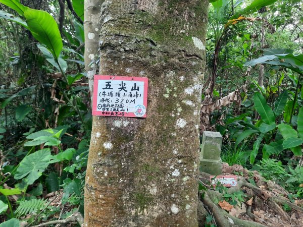 圓通寺烘爐地登山步道1425397