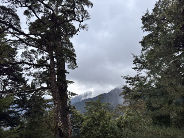 20250110 庫哈諾辛山(進涇橋登山口)2686250