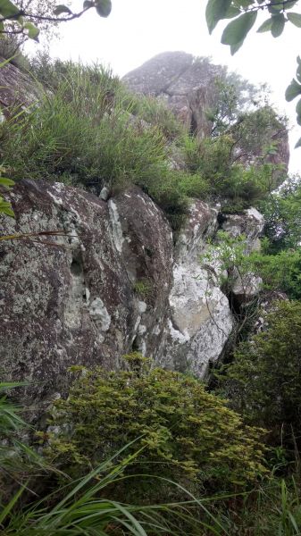 北得拉曼山登山步道神木區及內鳥嘴山連走356753